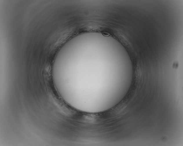 X0000115440079200911181533