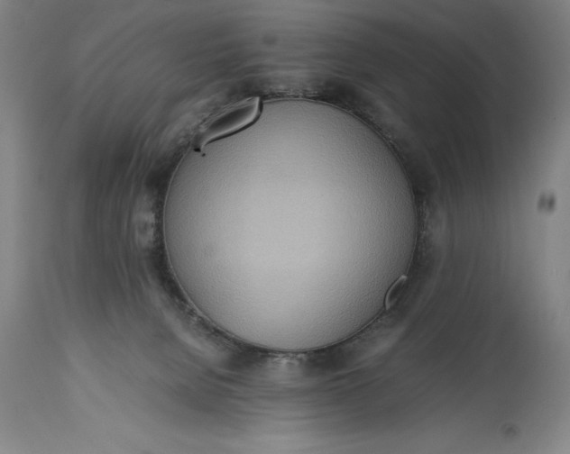 X0000115440080200911181533