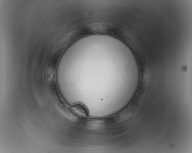 X0000115440081200911181533