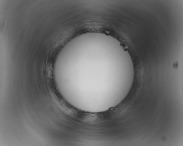 X0000115440083200911181533