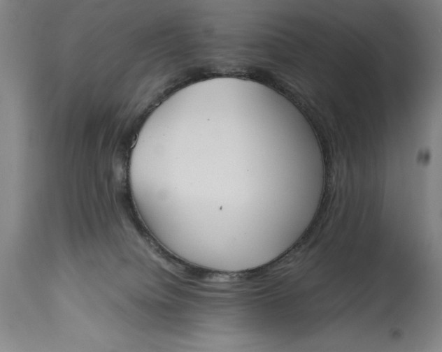 X0000115440084200911181533