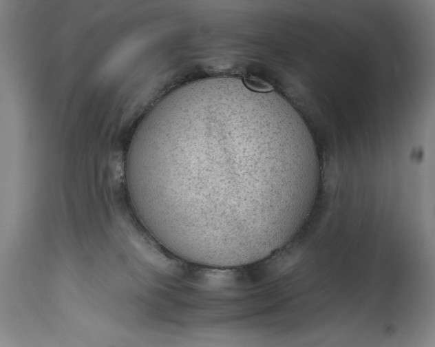 X0000115440085200911181533