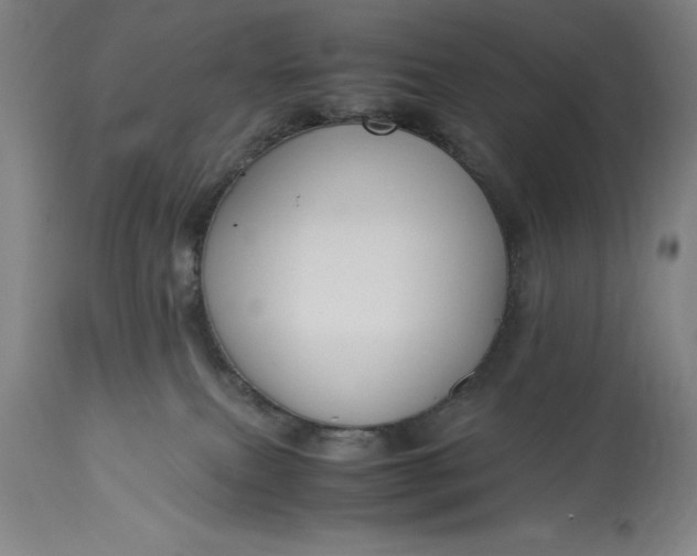 X0000115440087200911181533
