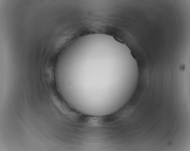 X0000115440088200911181533