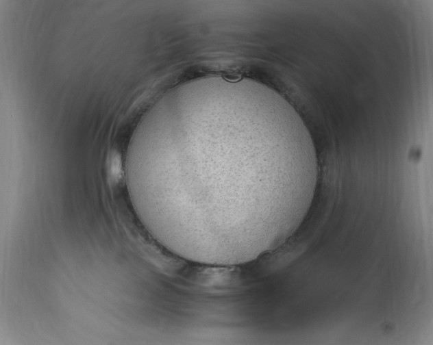 X0000115440089200911181533