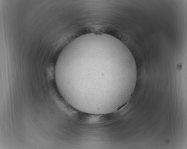 X0000115440090200911181533