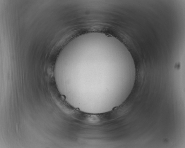 X0000115440091200911181533