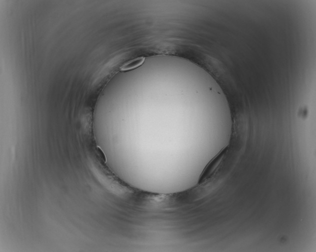 X0000115440092200911181533