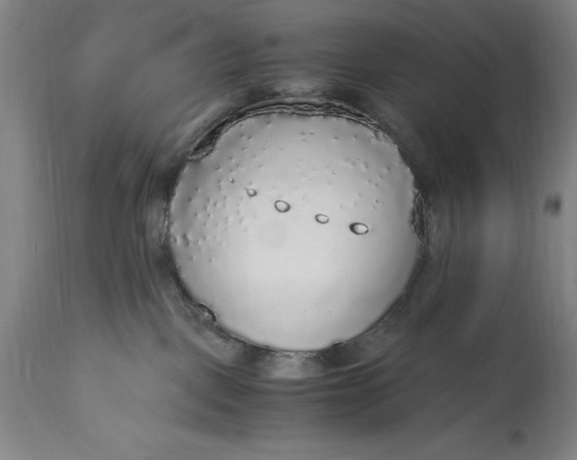 X0000115440093200911181533