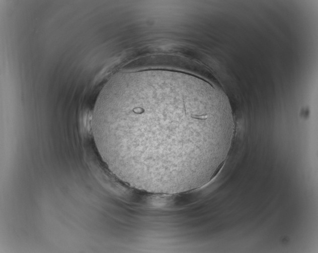 X0000115440094200911181533