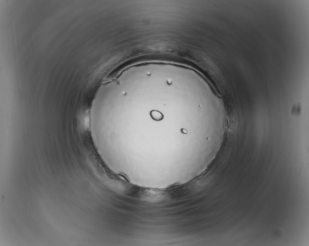 X0000115440095200911181533