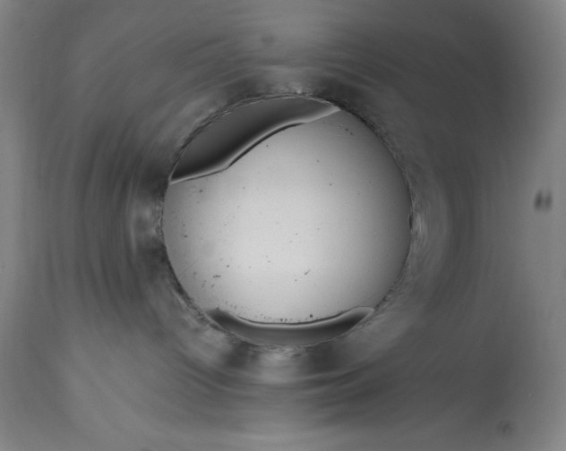 X0000115440096200911181533