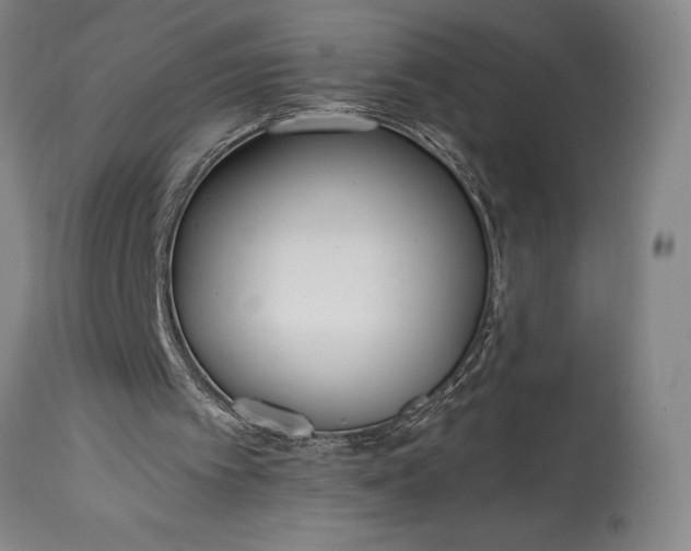 X0000115440097200911181533