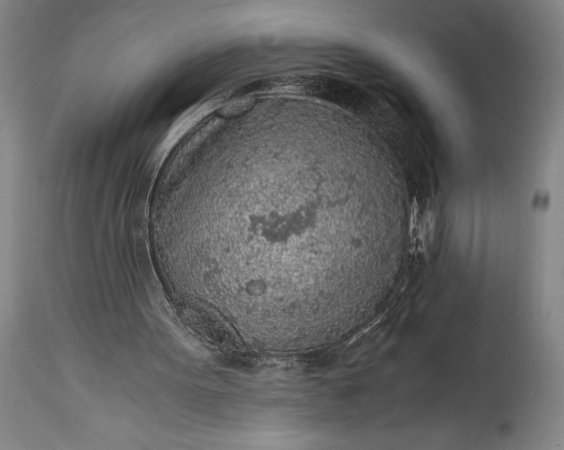 X0000115440099200911181533