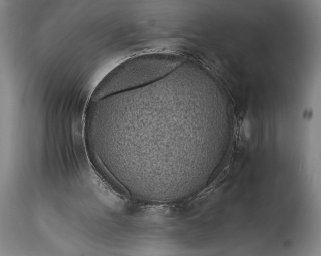 X0000115440100200911181533