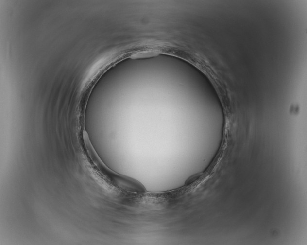 X0000115440101200911181533