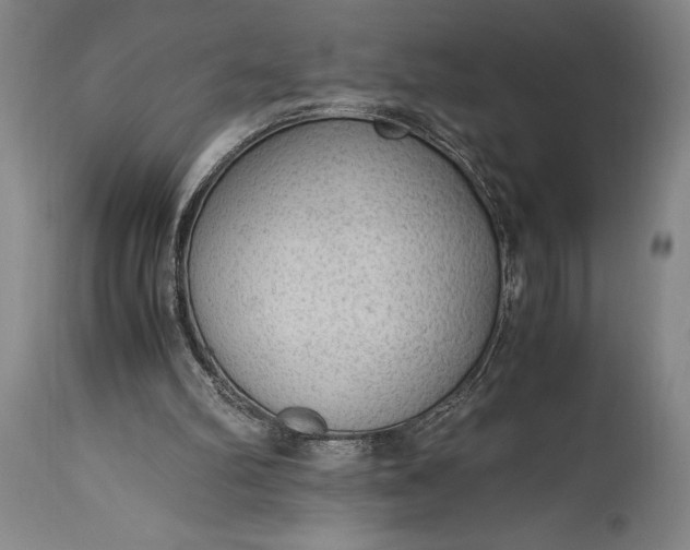 X0000115440102200911181533