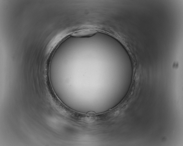 X0000115440103200911181533