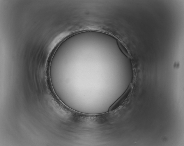 X0000115440104200911181533