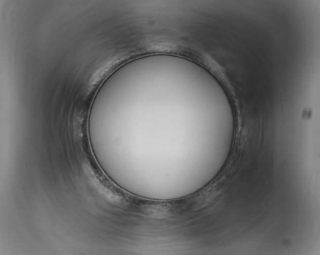 X0000115440106200911181532