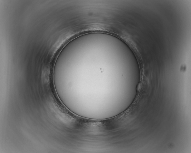 X0000115440108200911181532