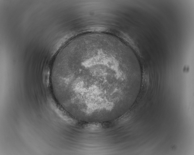 X0000115440110200911181532