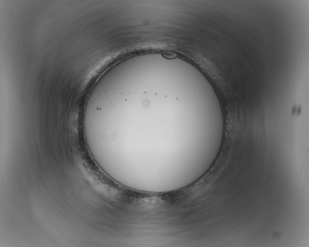 X0000115440112200911181532