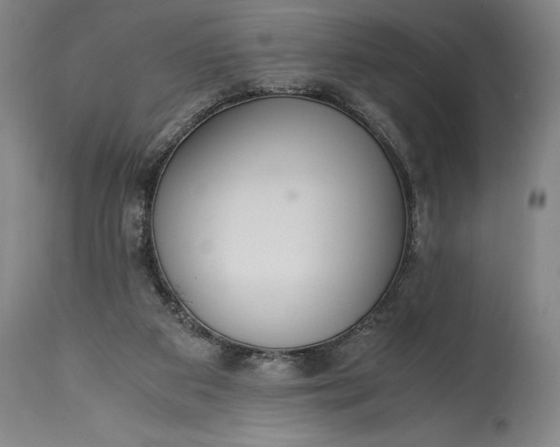 X0000115440113200911181532