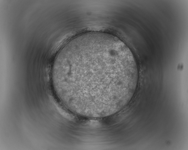 X0000115440114200911181532