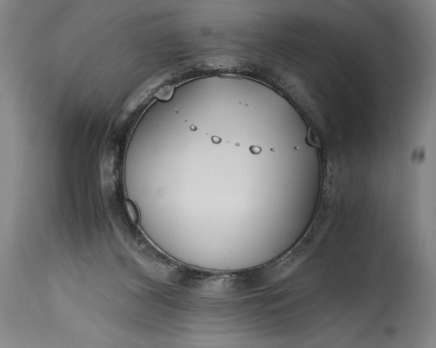 X0000115440116200911181532