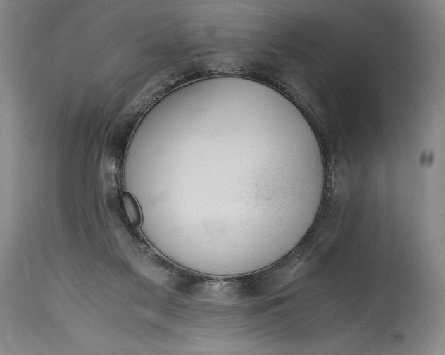 X0000115440117200911181532