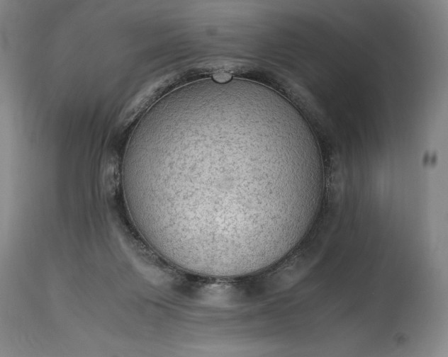 X0000115440119200911181532