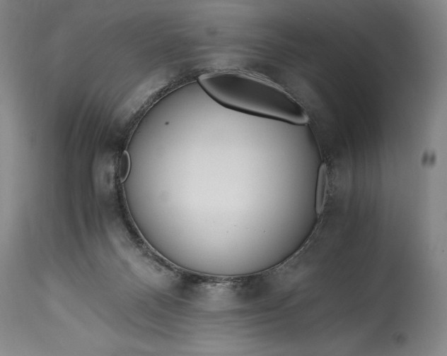 X0000115440120200911181532