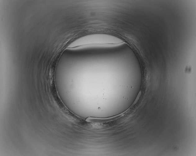 X0000115440121200911181532