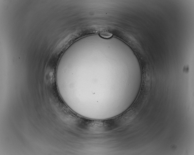 X0000115440123200911181532
