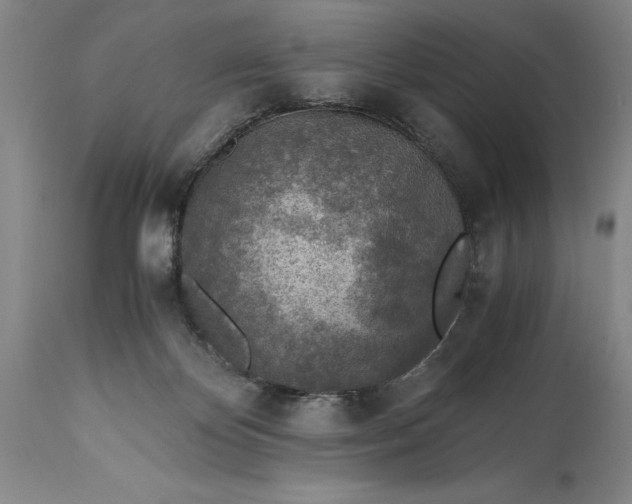 X0000115440124200911181532