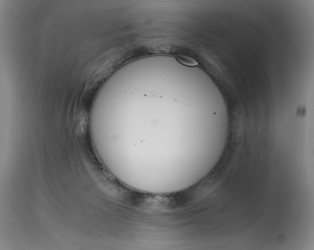 X0000115440125200911181532