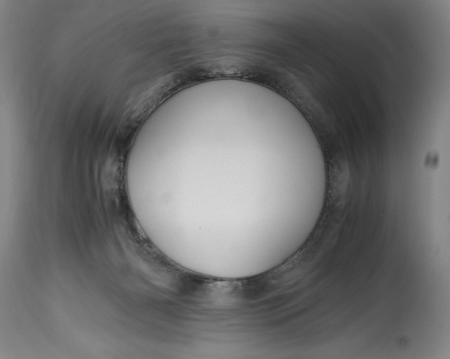 X0000115440126200911181532