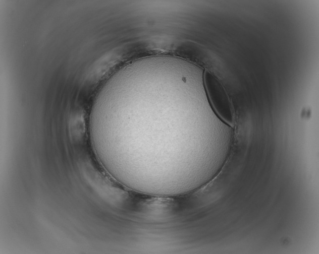 X0000115440128200911181532