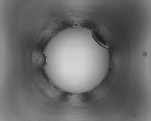 X0000115440129200911181532