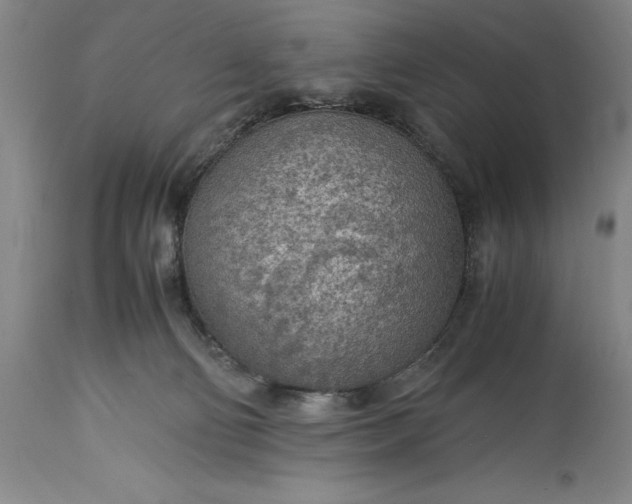 X0000115440130200911181532