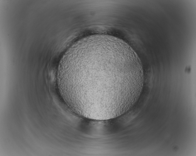 X0000115440131200911181532