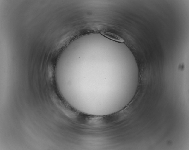 X0000115440132200911181532