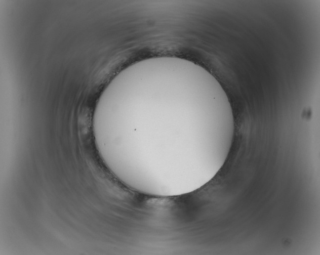 X0000115440133200911181532