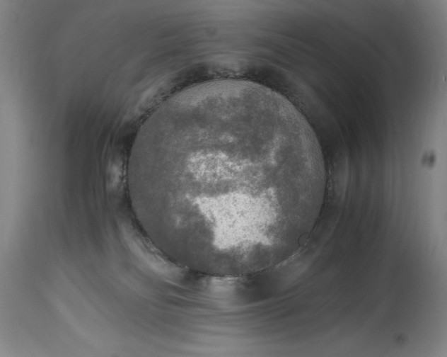 X0000115440134200911181532