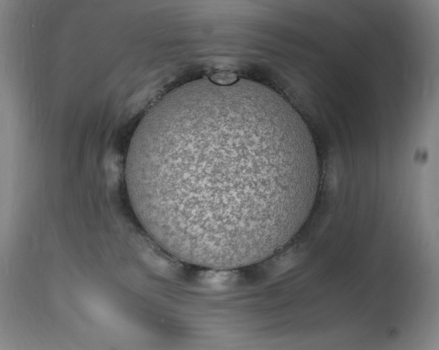 X0000115440135200911181532