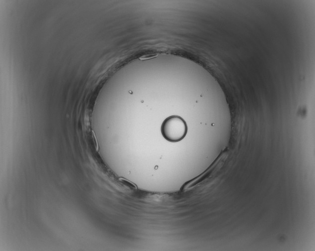X0000115440137200911181532