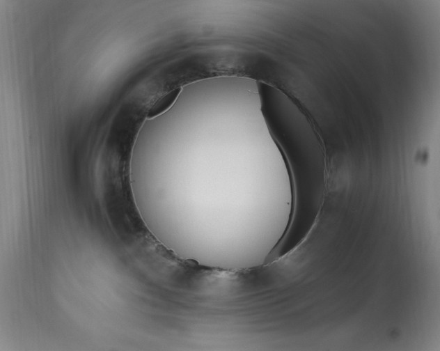 X0000115440140200911181532