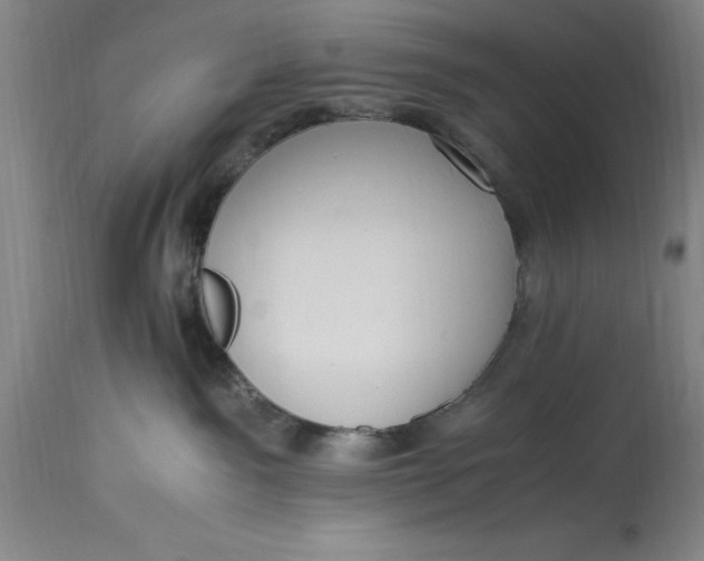 X0000115440141200911181532
