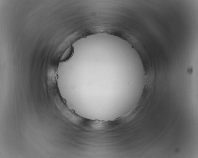 X0000115440142200911181532